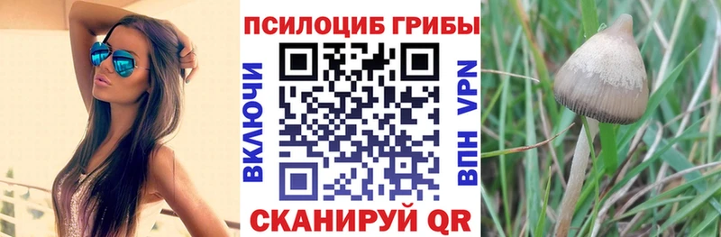 Галлюциногенные грибы мухоморы  Ржев 