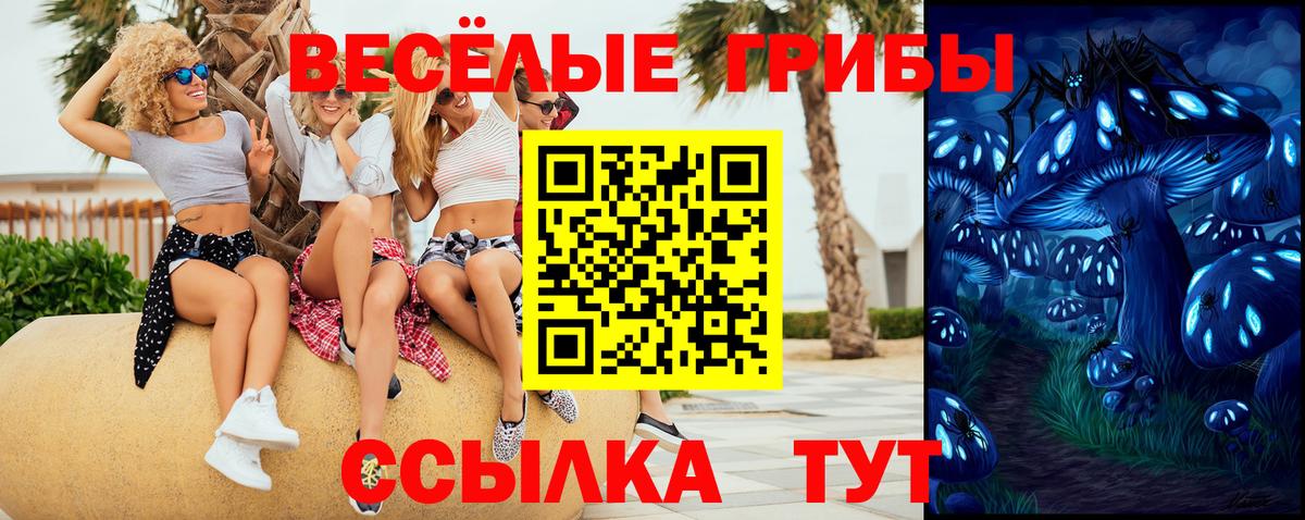 Ржев  Псилоцибиновые грибы Psilocybine cubensis  Вход с VPN  Галлюциногенные грибы Psilocybe 