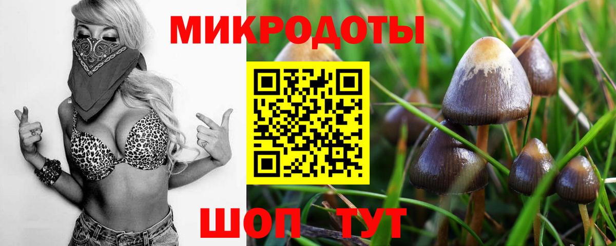 Псилоцибиновые грибы мицелий Ржев