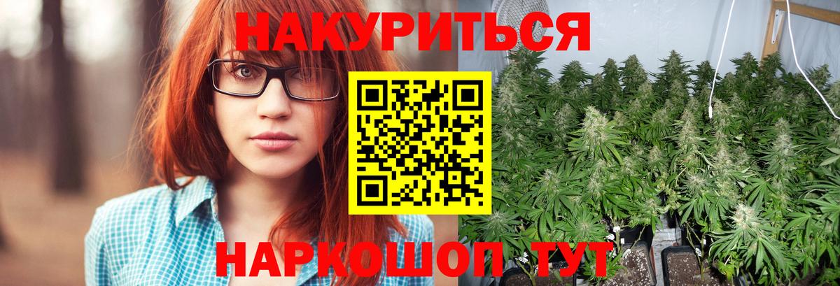 Конопля ГИДРОПОН Ржев